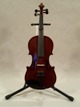Rothenberg_strad_copy18090