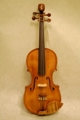 Copy_of__009_2008_guarneri_copy_-_left-handed